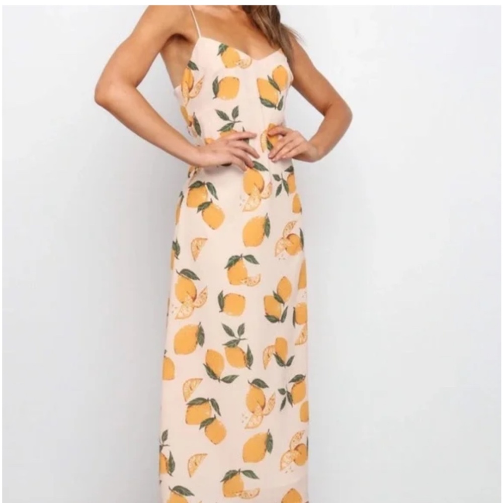 Petal and Pup Pedro dress